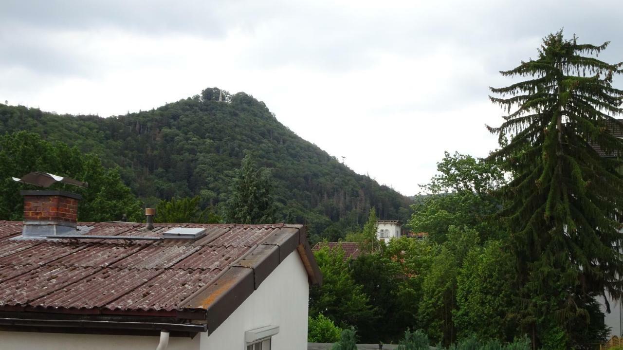 Ferienwohnung Loma Bad Harzburg Dış mekan fotoğraf